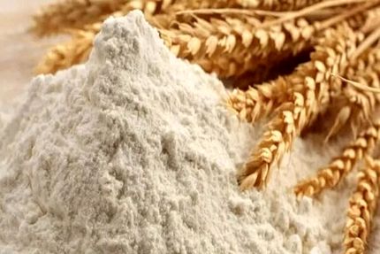 نمایندگان مجلس،فروش گندم یارانه‌ای صرفاً برای مصارف خبازی مجاز اعلام کردند