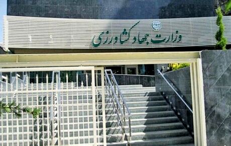 آغاز به کار کارگروه تنظیم بازار محصولات کشاورزی از فردا
