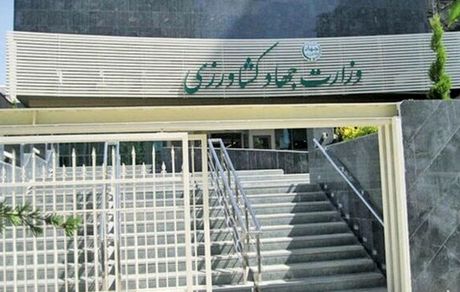 آغاز به کار کارگروه تنظیم بازار محصولات کشاورزی از فردا