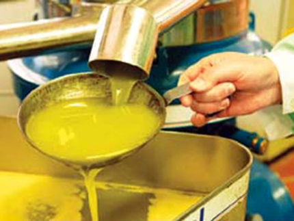 ۴۵ روز است روغن مورد نیاز برخی از صنایع تامین نشده