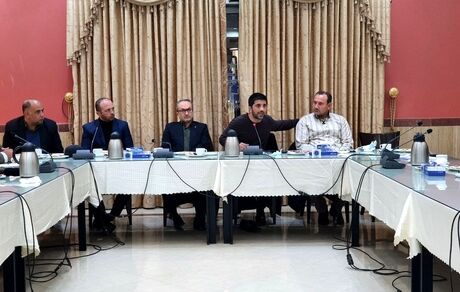 دبیر: فدراسیون کشتی آمریکا از ایران عذرخواهی کرد