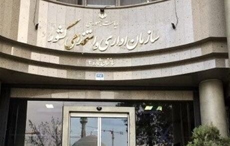 ابهام در دورکاری کارمندان در سازمان اداری و استخدامی