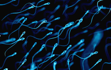 نقش ویتامین دی در کیفیت اسپرم