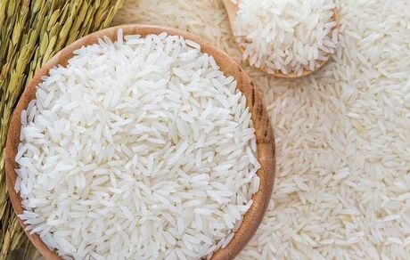 ممنوعیت کشت برنج در استان خراسان شمالی