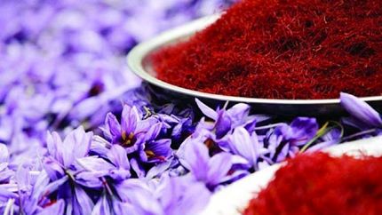 صادرات زعفران ایران به ۷۰ کشور دنیا
