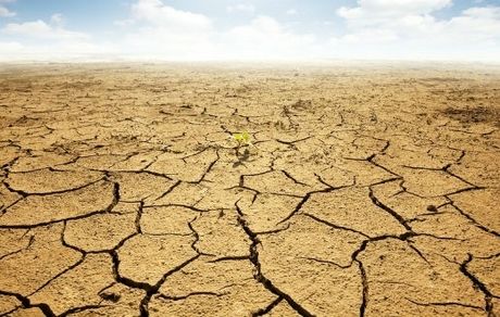 ۹۷ درصد مساحت کشور درگیر خشکسالی