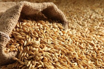 ثبت سفارش جدید جو از فردا شنبه ۴ مرداد آغاز می‌شود
