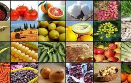 بیش از ۹۵ درصد کارخانه‌های صنعت غذای کشور با بالاترین ظرفیت مشغول به‌کارند