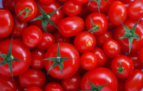 علت افزایش قیمت پیاز و گوجه فرنگی