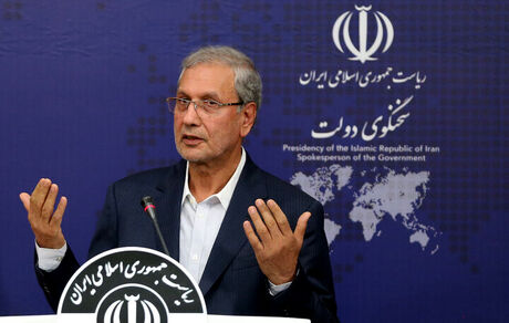 ربیعی: تلاش می‌کنیم بازماندگان از تحصیل فرصت مهارت آموزی پیدا کنند
