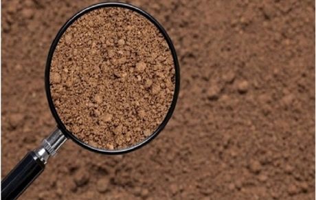 بحران کمبود مواد آلی در خاک استان آذربایجان‌شرقی