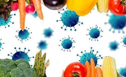 غذاهایی که سالمندان در روزهای کرونایی باید مصرف کنند