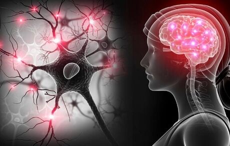ویروس کرونا در مغز تونل‌سازی می‌کند