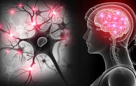 ویروس کرونا در مغز تونل‌سازی می‌کند