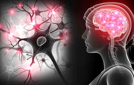 ویروس کرونا در مغز تونل‌سازی می‌کند