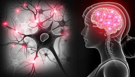 ویروس کرونا در مغز تونل‌سازی می‌کند