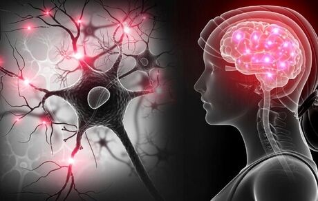 ویروس کرونا در مغز تونل‌سازی می‌کند