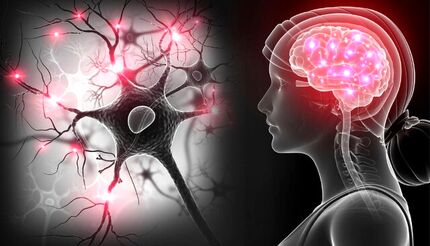 ویروس کرونا در مغز تونل‌سازی می‌کند