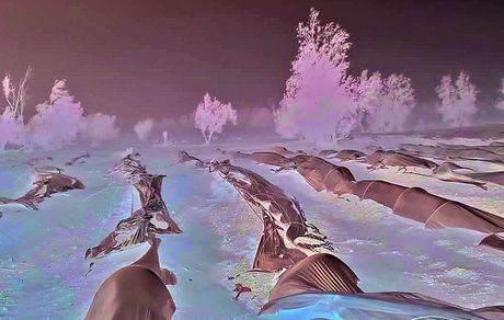 هواشناسی: احتمال وقوع طوفان شن در ۱۰ استان/ از تردد غیرضروری خودداری کنید