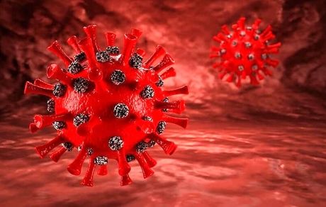 ویروس جدید خانواده کرونا در چین شناسایی شد / دانشمندان: شاید همه‌گیری بعدی در راه است