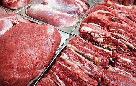 درخواست اتحادیه دامداران برای عرضه مستقیم گوشت قرمز در میادین