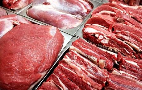 درخواست اتحادیه دامداران برای عرضه مستقیم گوشت قرمز در میادین
