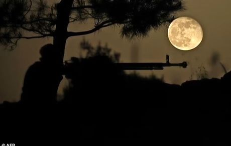 برآورد جدید درخصوص تلفات جنگ سوریه؛ حدود نیم میلیون نفر