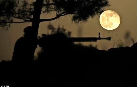 برآورد جدید درخصوص تلفات جنگ سوریه؛ حدود نیم میلیون نفر