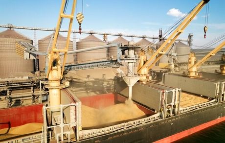 دیدار هیئت‌های روس، ترک و اوکراینی با سازمان ملل برای ادامه صادرات غلات