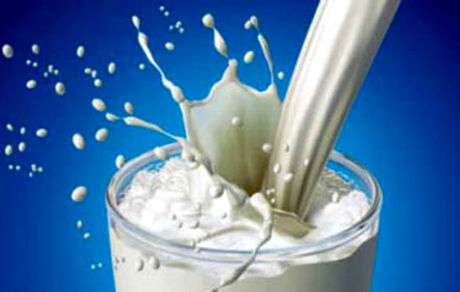 آیا شیرهای تولیدی کشور به سم آفلاتوکسین آلوده است؟
