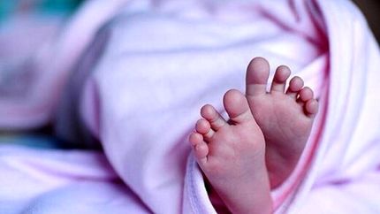 پیدا شدن جسد خونین یک نوزاد در یکی از پارک‌های تبریز