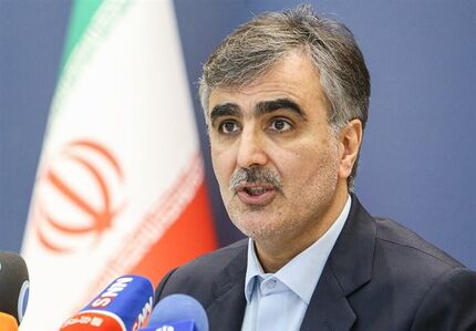 فرزین: بانک‌‎ها در اعطای تسهیلات خرد به مردم، طبق قانون عمل کرده و سخت‎گیری نکنند