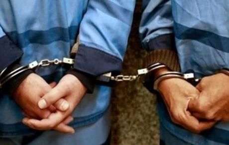 مهر: دو مدیر سازمان حفاظت از محیط زیست بازداشت شدند