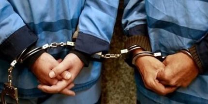 مهر: دو مدیر سازمان حفاظت از محیط زیست بازداشت شدند
