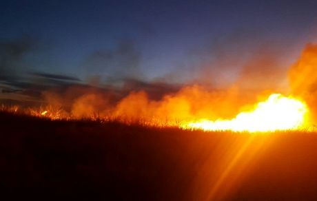 ۵ هکتار تالاب قره قشلاق سوخت