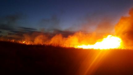 ۵ هکتار تالاب قره قشلاق سوخت