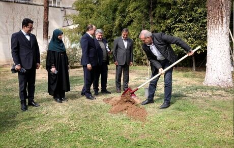 رئیس جمهور، سه اصله نهال کاشت