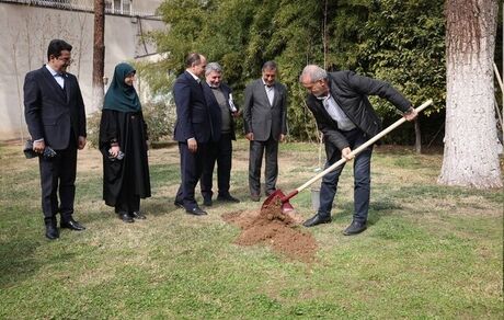 رئیس جمهور، سه اصله نهال کاشت