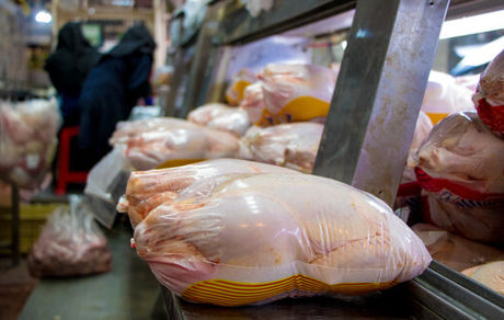 با حذف ارز ترجیحی، قیمت مرغ برای مصرف کننده بین ۴۰ تا ۴۵ هزار تومان خواهد شد