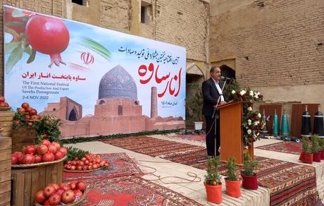 حرکت رو به رشد شورای قیمت‌گذاری در انگیزه‌بخشی به کشاورزان