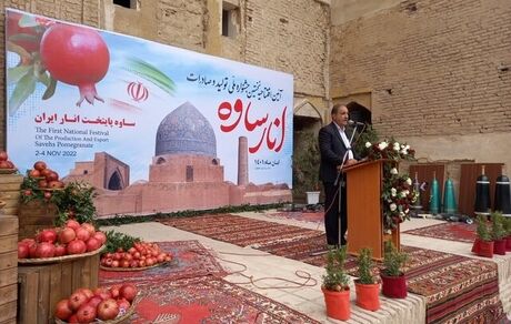 حرکت رو به رشد شورای قیمت‌گذاری در انگیزه‌بخشی به کشاورزان