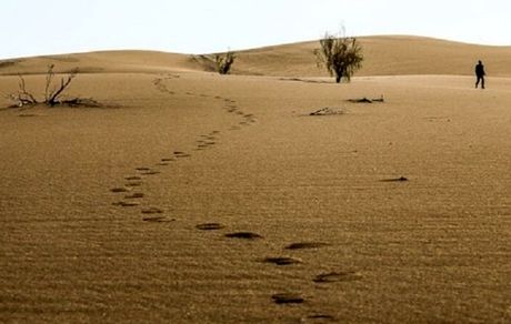 دختر ۱۵ ساله گمشده در بیابان‌های نطنز پیدا شد