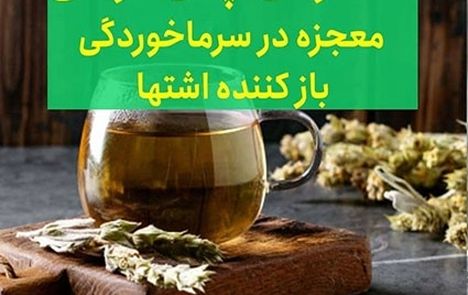 چای کوهی و خواص باورنکردنی آن