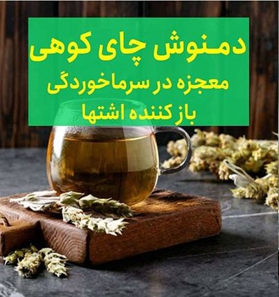 چای کوهی و خواص باورنکردنی آن