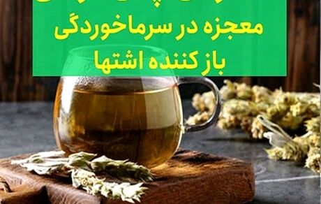 چای کوهی و خواص باورنکردنی آن