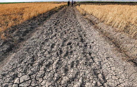 بحران خشکسالی به اقلیم کردستان عراق رسید