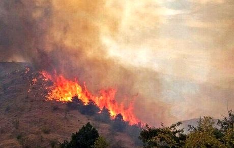 سوختن ۱۸۰ هکتار از جنگل ها و مراتع کوه سفید و ارتفاعات کوه سمر براثر آتش سوزی