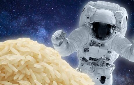 چینی‌ها در فضا، برنج کاشتند