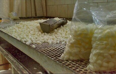 ثبت شیوه تهیه شیرینی چای مراغه در فهرست میراث‌ ناملموس ملی 