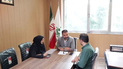لغو جشنواره گل‌های بابونه در نمین بدلیل شهادت رئیس جمهور و همراهان